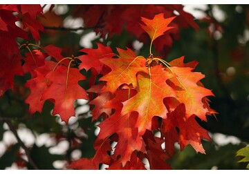 Trecem la ora de iarnă. Cum ne afectează și de ce Europa nu a oprit încă sistemul