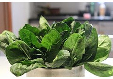 Перечислены самые полезные весенние овощи