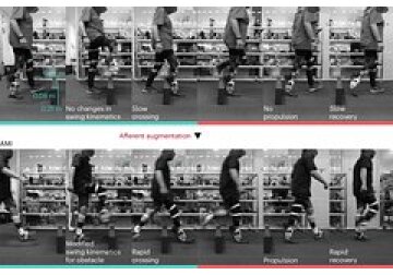 Создан управляемый силой мысли протез