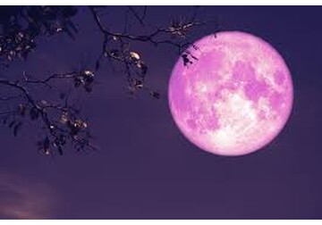 Pink Moon – De ce se numește așa luna plină de la mijloc de aprilie și ce alte nume populare i s-au dat
