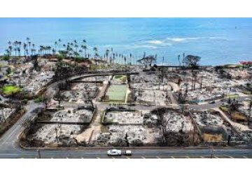 How soon is too soon to visit after a disaster?