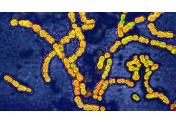 Childhood flu vaccine may reduce Strep A risk, research suggests