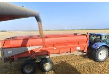 Recoltă „catastrofală” de grâu în acest an pentru cel mai mare producător şi exportator european de cereale