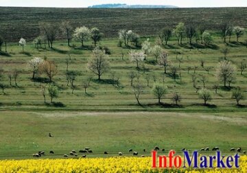 Autoritatea pentru Tehnologiile Viitorului (FTA) intenționează să lanseze 2 proiecte noi în Moldova: Digitizarea Agriculturii cu un buget de 5 milioane de lei și Agricultura Durabilă cu un buget de 2 milioane de lei.