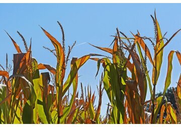 200 million lei has been allocated from the Government Reserve Fund to assist farmers affected by the 2022 crises.