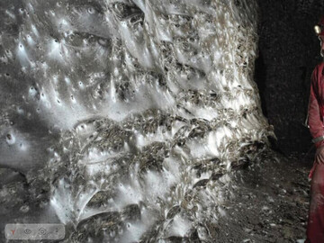 Oamenii de știință au decoperit cea mai mare pânză de păianjen din lume într-o peșteră de pe granița dintre Grecia și Albania