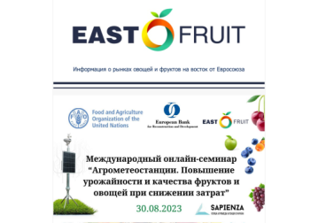 Pe 30 august, de la ora 10.00, va avea loc un seminar online gratuit pentru horticultori și legumicultori &quot;Stații agrometeorologice. Îmbunătățirea calitativă și cantitativă a recoltelor de fructe și legume, cu reducerea costurilor&quot;.