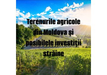 Dmitri Torner: E nevoie de o strategie naţională specială pentru atragerea investiţiilor străine în agricultură