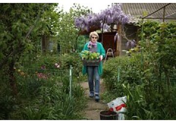 Дачников призвали разбросать по участку банановую кожуру