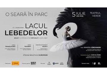AN EVENING IN THE PARK – SWAN LAKE