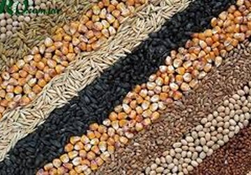Gross agricultural production of Moldova decreased in 2020 by 27.1%, compared to 2019.