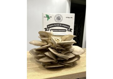 Cum un tânăr antreprenor construiește o afacere socială sub pământ, cu sprijinul EU4Youth