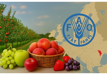 Moldova is among the top 15 largest fruit producers in Europe - the FAO