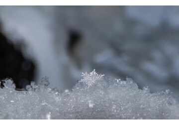 Снежинки оказались негладкими и ассиметричными