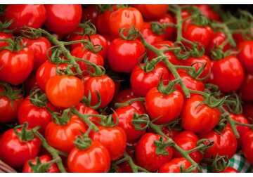 Fermierii slovaci îşi suspendă producţia de roşii în contextul scumpirii energiei