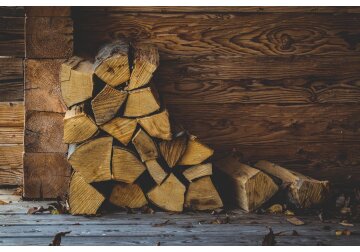 Moldova authorities have increased the limit for selling firewood to the population from 3 to 5 cubic meters. 