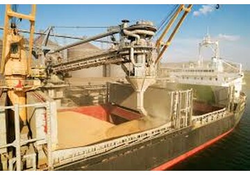 UE a crescut cotele de import pentru grâul din Ucraina – Reuters