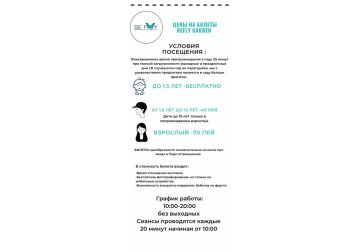 В Кишиневе открылся первый контактный сад бабочек