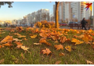 Что можно и нельзя делать в Артемьев день 2 ноября, когда узнают погоду на апрель