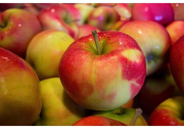 Producția de fructe a României, compromisă - Prăpăd la cireșe, mari pierderi la mere