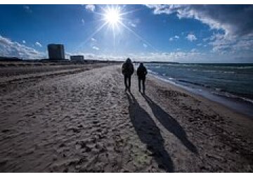 Озвучена степень распространенности человеческого ДНК на Земле