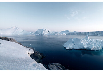 В Антарктиде впервые замечена акула