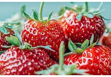 Повар поделилась простым лайфхаком для продления свежести клубники