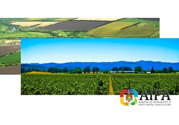 AIPA approved the payment of subsidies amounting to 64.6 million lei over last week
