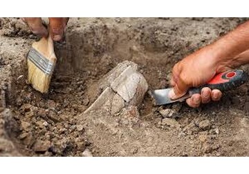 В Чили обнаружили останки ранее неизвестной формы домашних животных