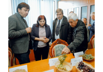 Для того чтобы конкурировать с производителями виноград из других стран, молдавским виноградарям необходимо диверсифицировать ассортимент в соответствии с потребительским спросом, - USAID.