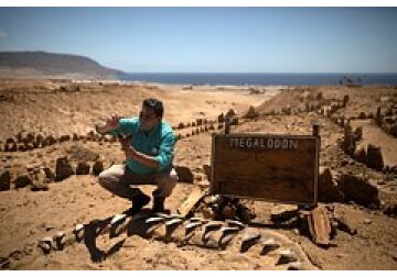 Обнаружены самые древние люди в Европе