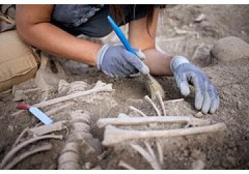 Обнаружена причина упадка населения древней Европы