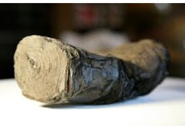 Ce au descoperit cercetătorii că scrie într-un manuscris antic, carbonizat în timpul erupției Vezuviului / Textul a fost descifrat cu inteligența artificială