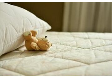 Доказана доминирующая теория о формировании памяти