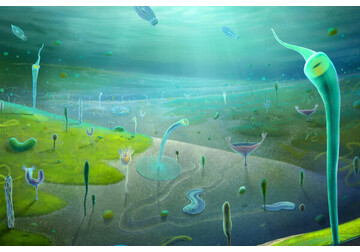 Новая находка ученых в Китае перевернула представления об эволюции живых существ