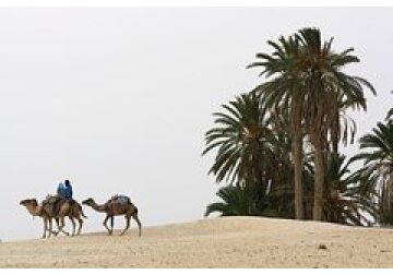 Явление Эль-Ниньо перейдет в нейтральную фазу