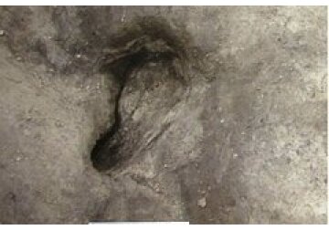 В Германии обнаружили самые ранние человеческие следы