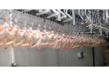 Comisia Europeană a lansat audit-ul sistemului de control al Republicii Moldova ce reglementează producția de carne de pasăre și ouă, destinate exportului în Uniunea Europeană