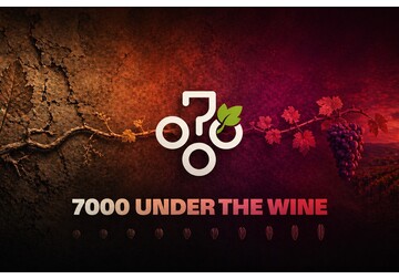 A fost lansat proiectul internațional „7000 de ani cu vinul”