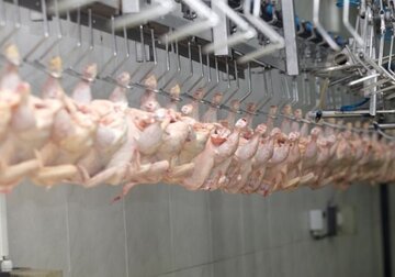 Experții UE au început auditul ANSA, care este important pentru Moldova pentru a obține dreptul de a exporta în Uniunea Europeană carne de pasăre, produse din carne de pasăre și ouă.