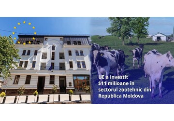 The European Union has invested more than $11 million in the modernization of farms and animal care in Moldova