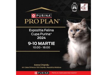 "Expozitia Felina. Cupa Purina 2024"