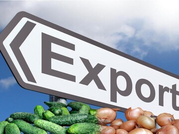 Moldova has been granted the right to export cucumbers and onions to Israel – ANSA