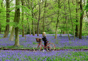 Мир оказался на грани глобального дефицита велосипедов