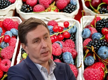 În 2024, volumul pieței fructelor de pădure din Moldova era estimat la 838 milioane de lei – de două ori mai mult decât în 2020, dar cu 20% mai puțin decât în 2022