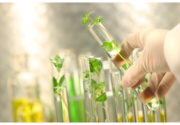 Ученые нашли &quot;ключ&quot; для внедрения в клетку лекарства из растений