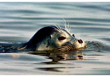 Orașul european desemnat cea mai bună destinație de vizitat în aprilie. Este locul ideal pentru un city-break de primăvară