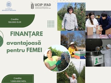 Tinerii fermieri și femeile antreprenoare pot obține de la IFAD credite de până la 150 000 de euro pentru modernizarea serelor și introducerea tehnologiilor ecologice