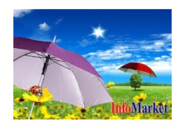 On June 12, Moldova celebrates the professional holiday of insurance workers.