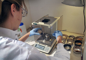 Европа решила стать независимой от Китая